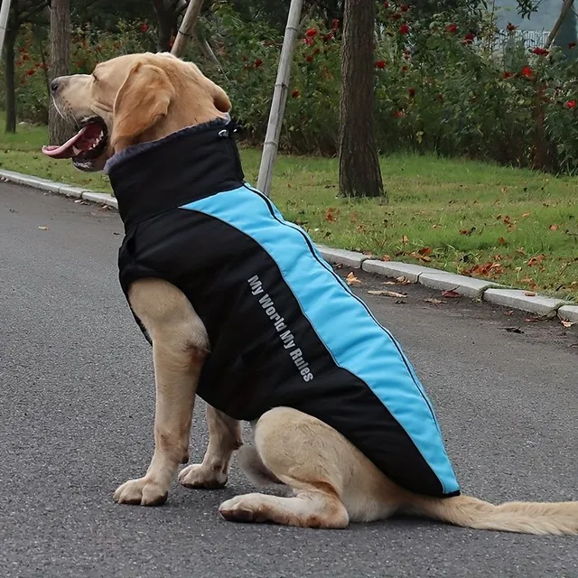 Winter waterproof suit for large dogs with reflective elements