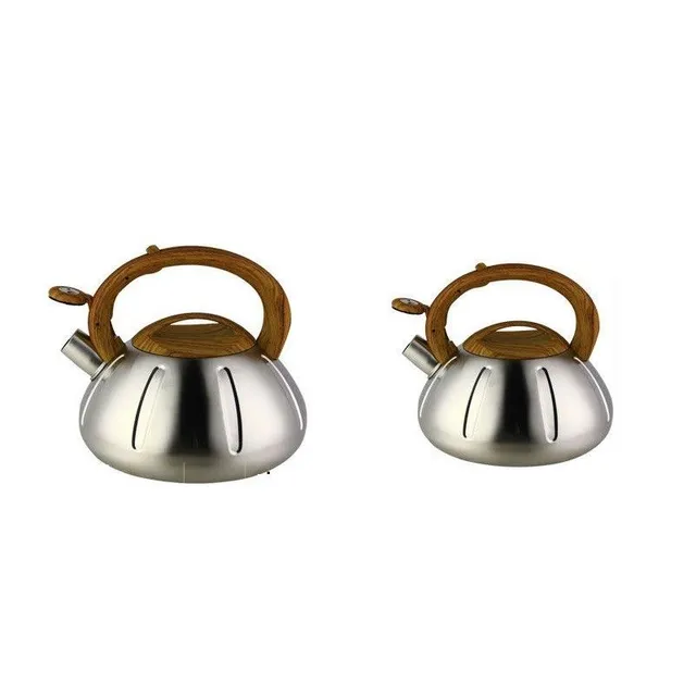 Stainless steel kettle with wooden handle