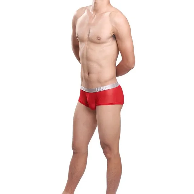 Men's sexy mesh boxers