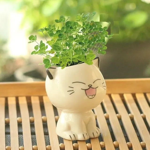 Decorative flower pot cat