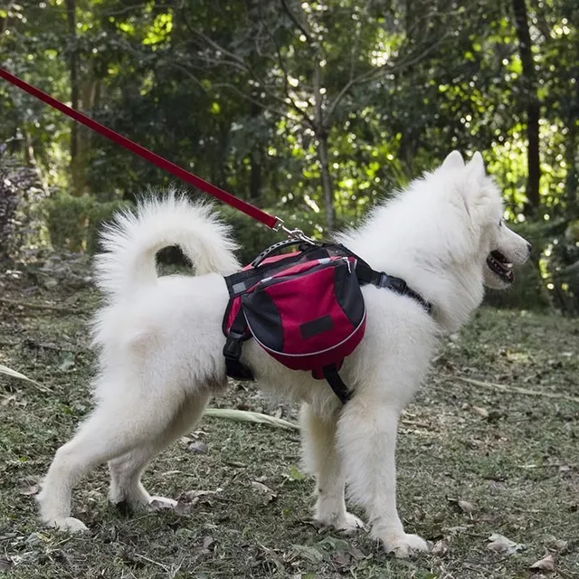 Outdoor backpack for dogs