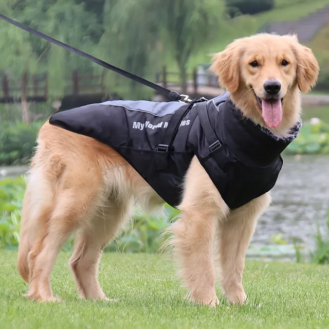 Winter waterproof suit for large dogs with reflective elements