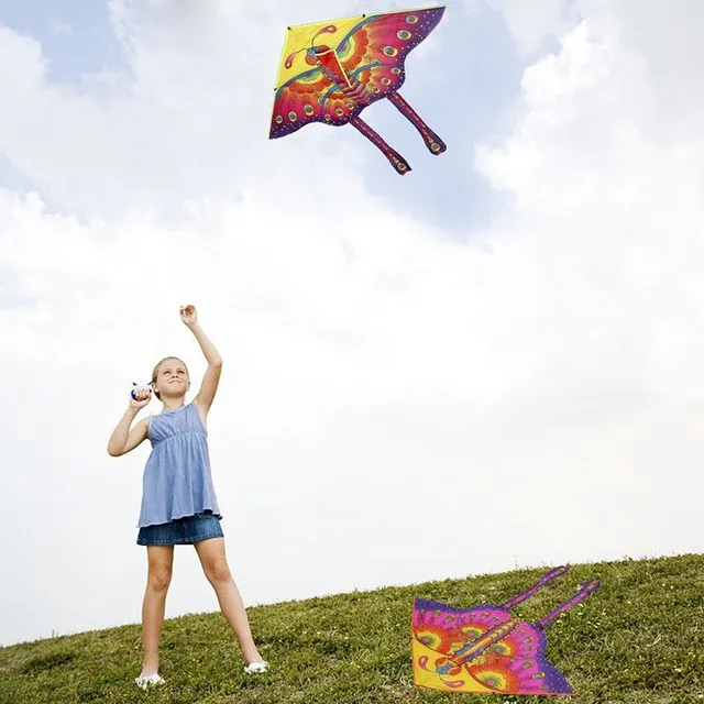 Cerf-volant en forme de papillon