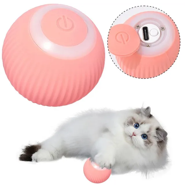 Interactive electric ball for cats - USB