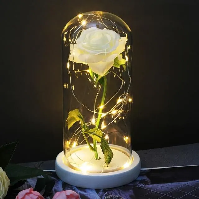 Luminous Roses in luxury packaging bai-di-bai