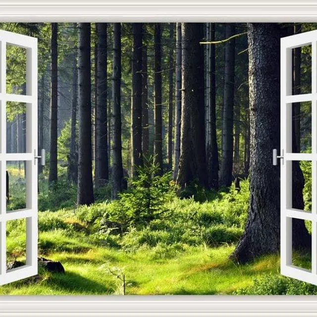 Wandkunst 3D Sticker | Fenster, Landschaft