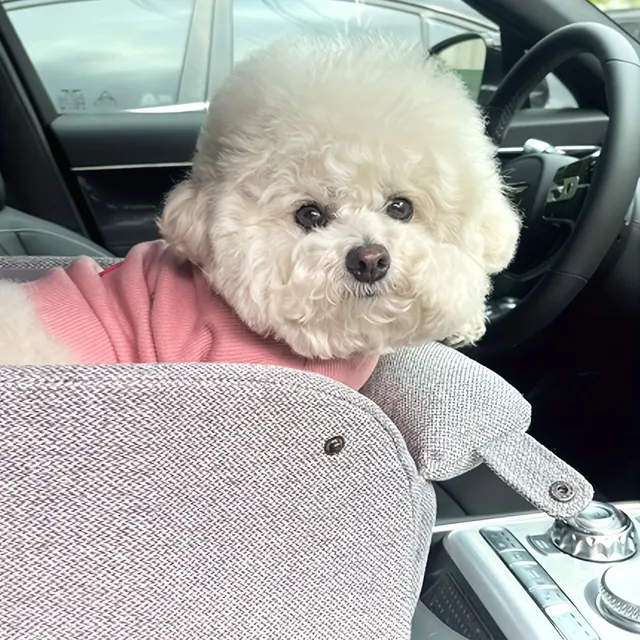 Siège auto surélevé Happy Ride pour petits chiens et chats - Voyage confortable avec ceinture de sécurité et coussin doux