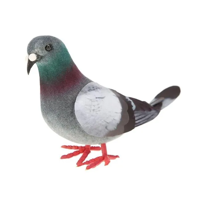 decoration pigeon