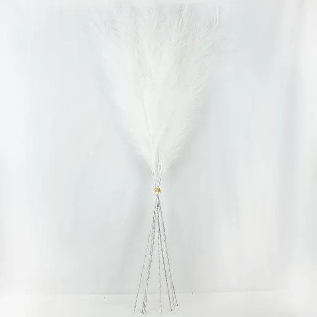 Large silky pampas grass flowers