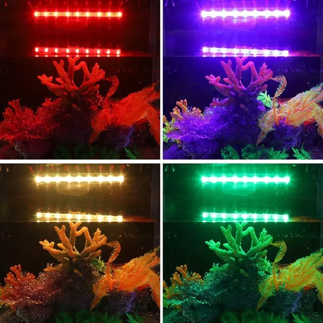 LED Lighting to Aquarium C727