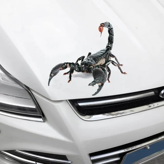 Animal 3D naklejka samochodowa