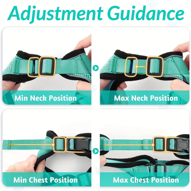 Safety harness and guide for cats - Soft and adjustable, Ideal for walking and exploring