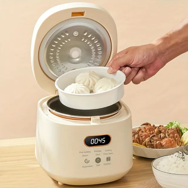 Small multifunctional rice cooker with removable non-stick container