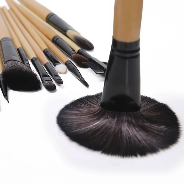Professional set of brushes for makeup 24pcs Gallagher