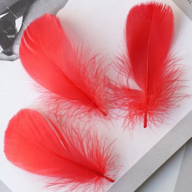 Natural coloured decorative feathers - 100 pcs