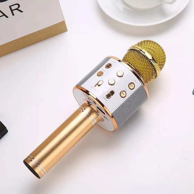 Karaoke microphone with professional settings - various colours Florian