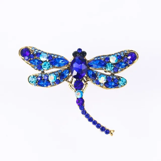 Beautiful ladies brooch decorated with dragonfly