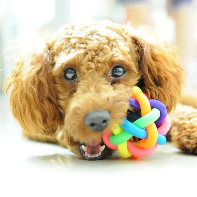 Rainbow toy for dog