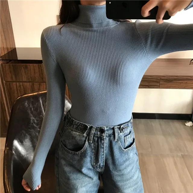 Women's autumn turtleneck