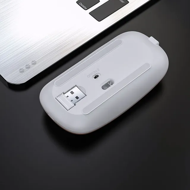 Wireless mouse with LED backlight