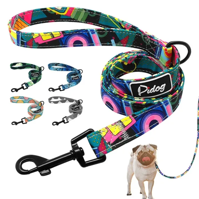 Dog harness with leash for small dogs