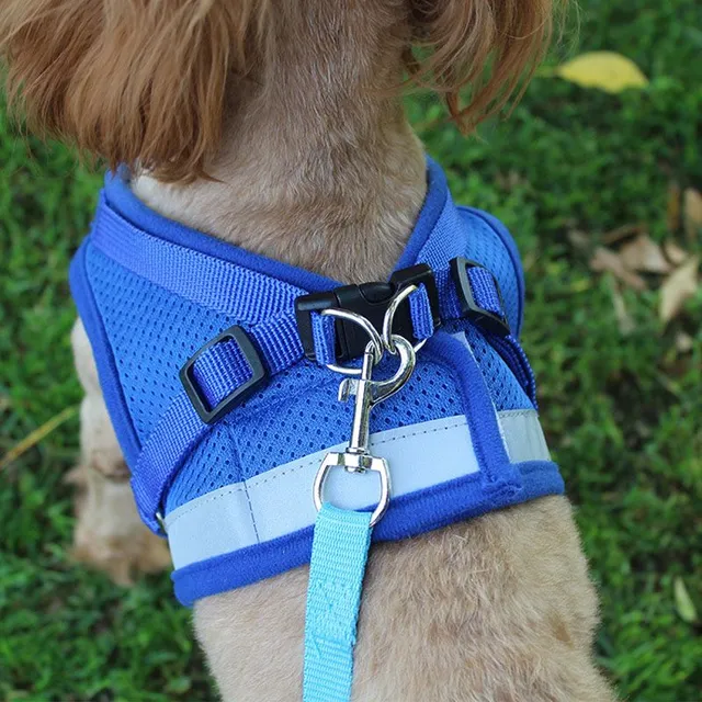 Reflective Dog Dress