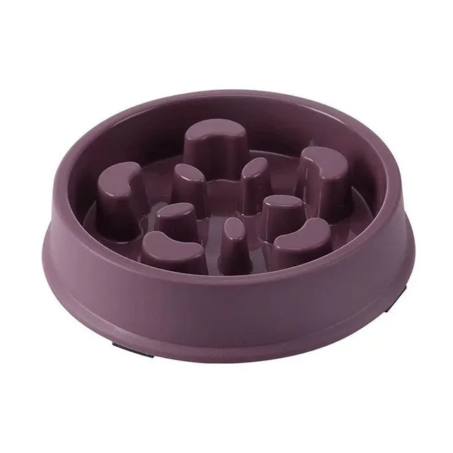 Anti-swallowing bowl for slowing feeding