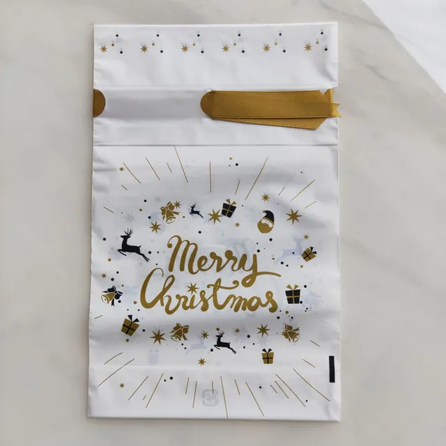 Christmas gift bag 10 pcs