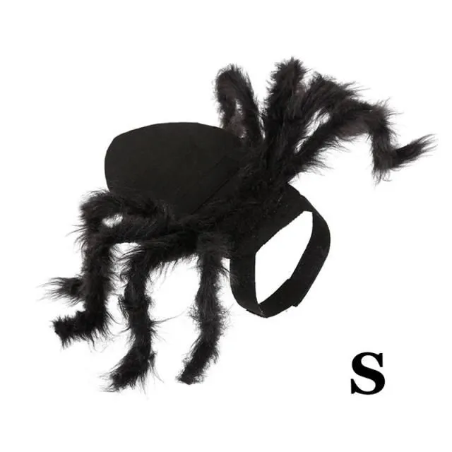 Halloween Spider Cat Costume