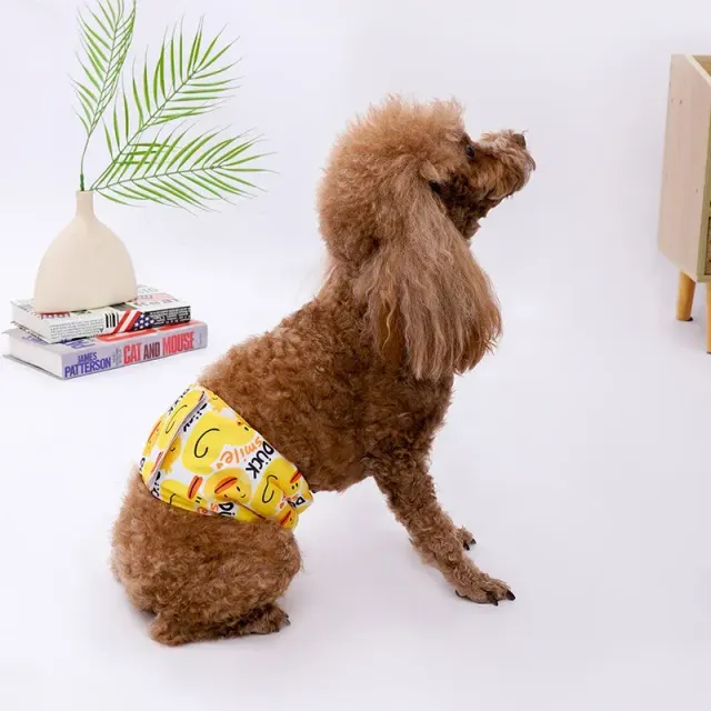 Dog diapers with picture theme, adjustable and washable
