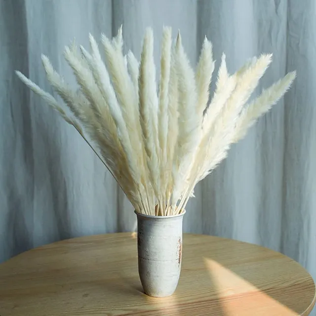 Dried flowers of Pampas grass 30 pcs