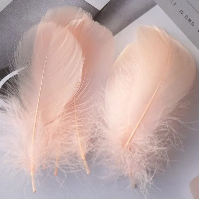 Natural coloured decorative feathers - 100 pcs