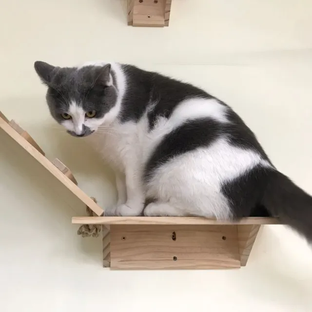 Hanging wooden shelves - steps for cats