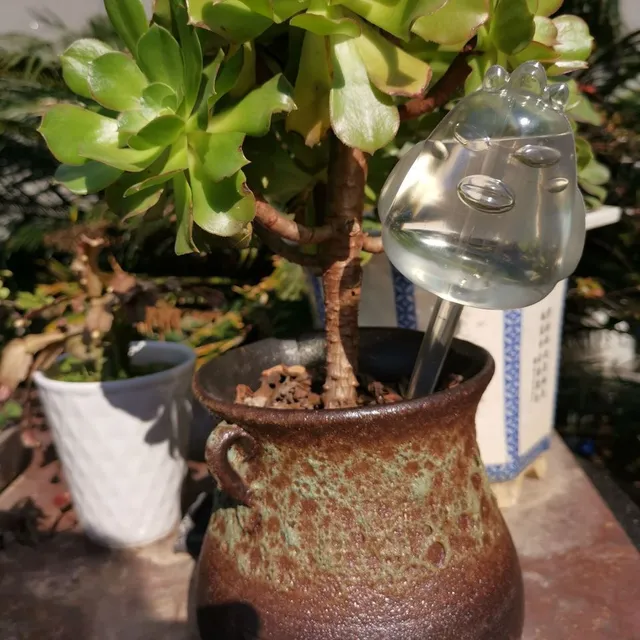 Water dispenser for flowers