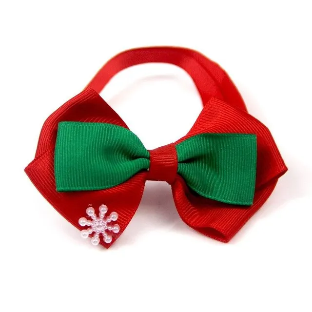 Christmas collar for dogs