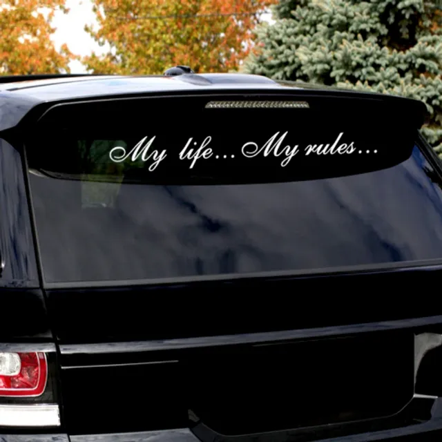 The sticker on the car, my life... my rules... "quot;