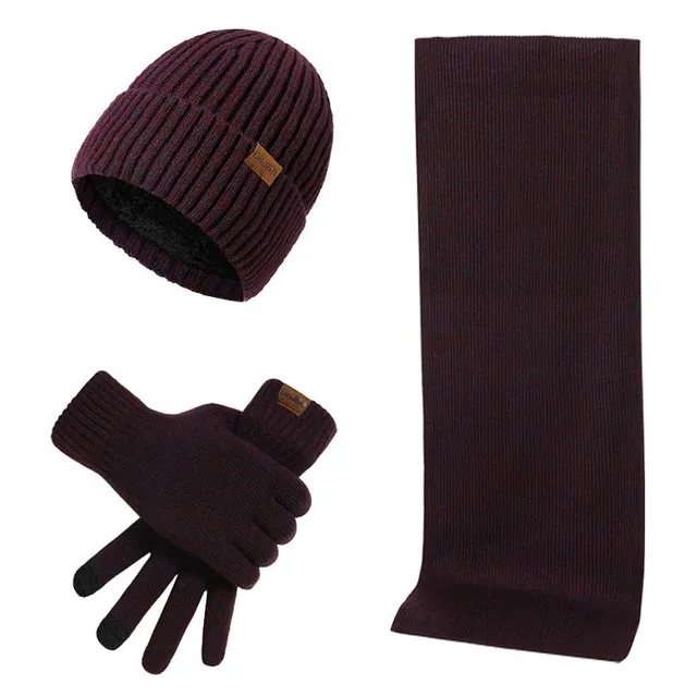 Men's winter set of scarf, hat and gloves Andrej