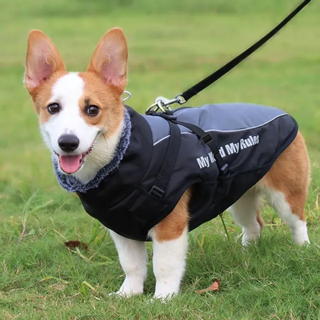 Jacket for dog