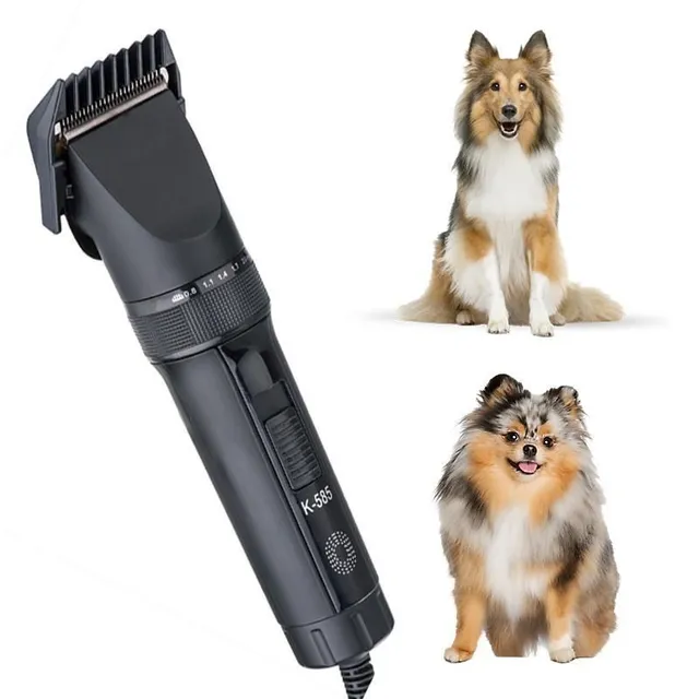 Set of electric trimmers for pets