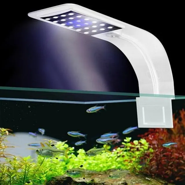 Oświetlenie akwarium LED bila-modre-svetlo