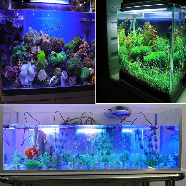 Lumières LED aquariums étanches