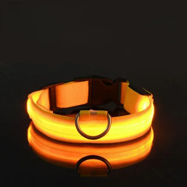 Practical collar with LED strap for improved visibility - USB power supply, more colors