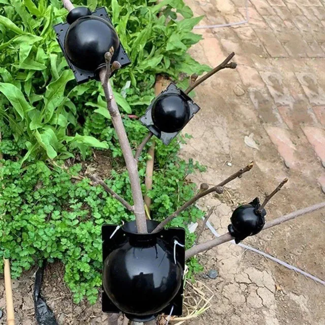 Praktyczna okrągła skrzynka ogrodowa do klonowania roślin w kolorze czarnym