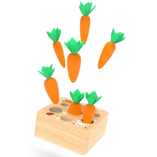 Wooden insertion toy with carrot