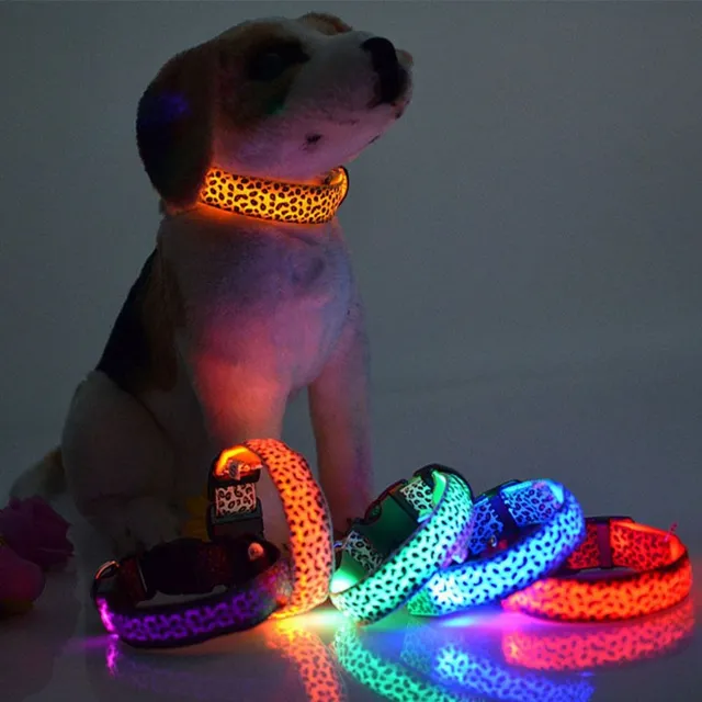 Adjustable nylon collar with LED lighting