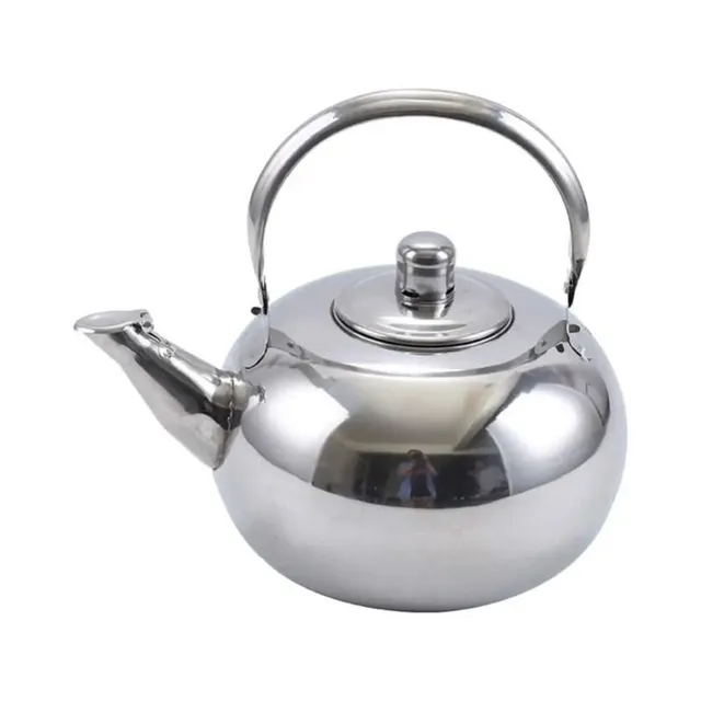 Stainless steel tea kettle with infusion machine - modern reflective coffee kettle