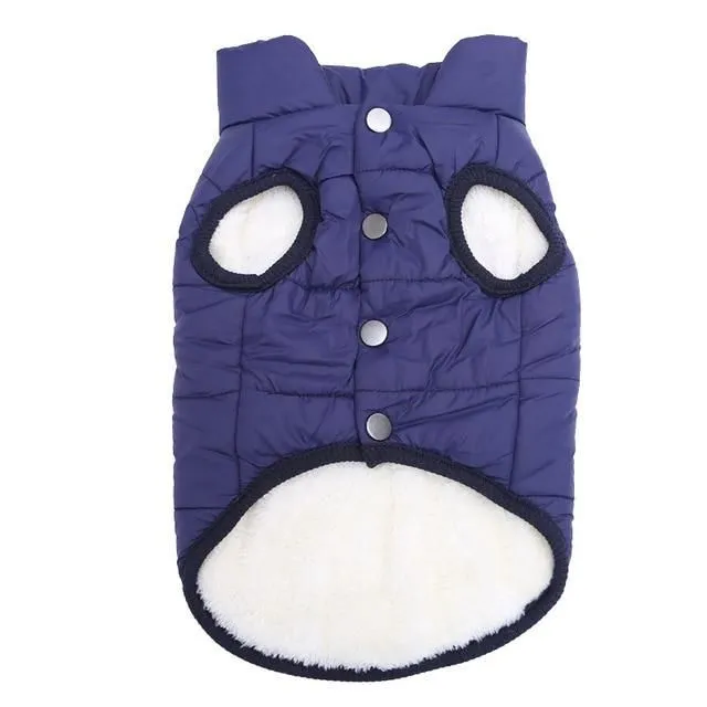 Insulated vest for dogs