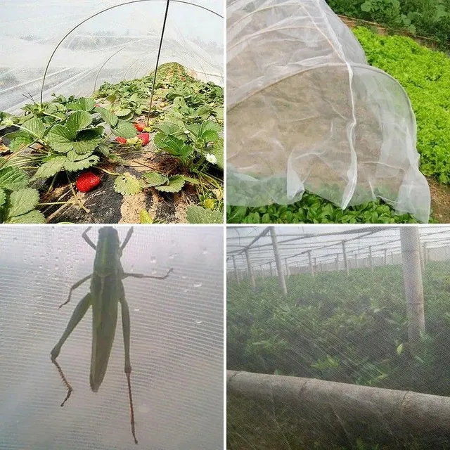 Garden net against bird