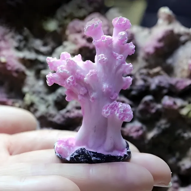 Artificial coral into the aquarium