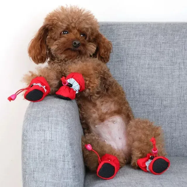 Nepremokavé topánky pre malého psa na ochranu labiek